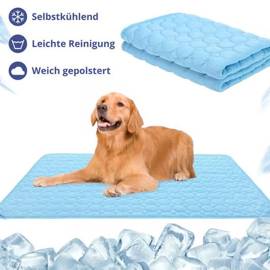 🐾 50% RABATT! ❄️ Premium Kühlmatte für Hunde & Katzen – Atmungsaktiv & waschbar – Perfekt für heiße Tage, Boden oder Sofa – bringt natürliche Abkühlung ohne Strom 🌿☀️