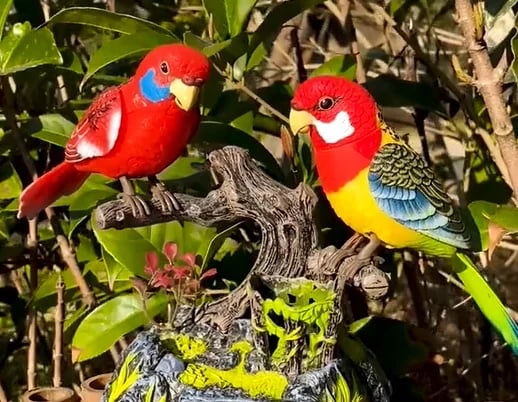 🦜Elektrische batteriebetriebene Sprachsteuerungs-Papageien