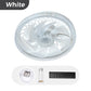 💥2-in-1 stummes, einstellbares Ventilatorlicht mit Fernbedienung