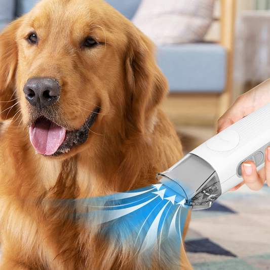 🐕 50% RABATT! ⏰ Multifunktionelles Staubsauger-Set für die Haustierpflege – Leistungsstark, vielseitig & mit speziellen Bürstenaufsätzen für eine gründliche Reinigung 🧹