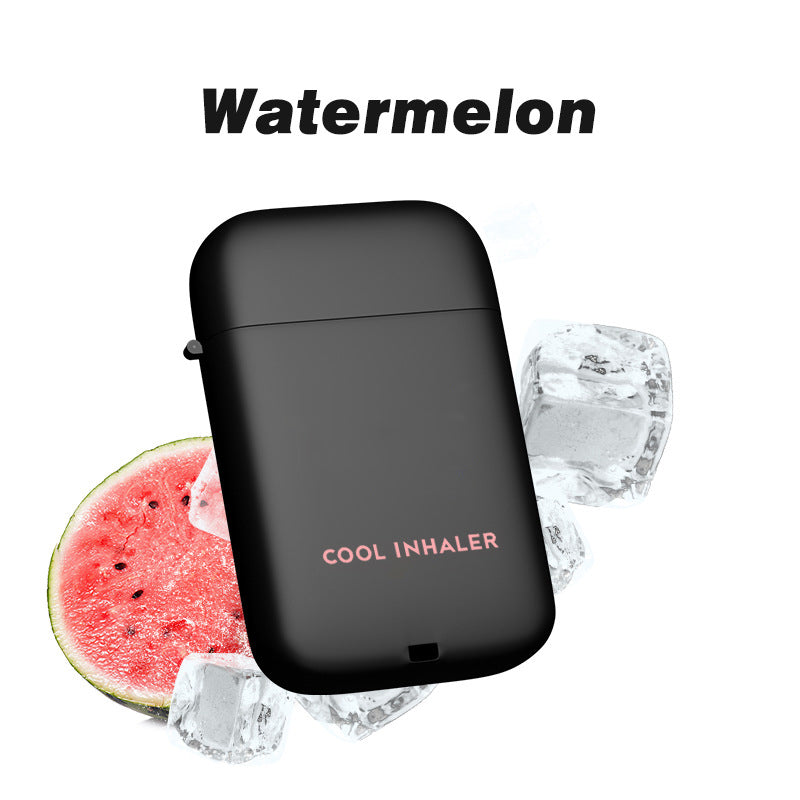 Aromatherapie-Dual-Nasen-Inhalator-Stick