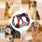 💥 LIMITIERT: -50% 🐾 Anti-Zug Hundegeschirr mit Front-D-Ring 🦮 inkl. Leine & LED-Halsband 🔥 sicher & komfortabel