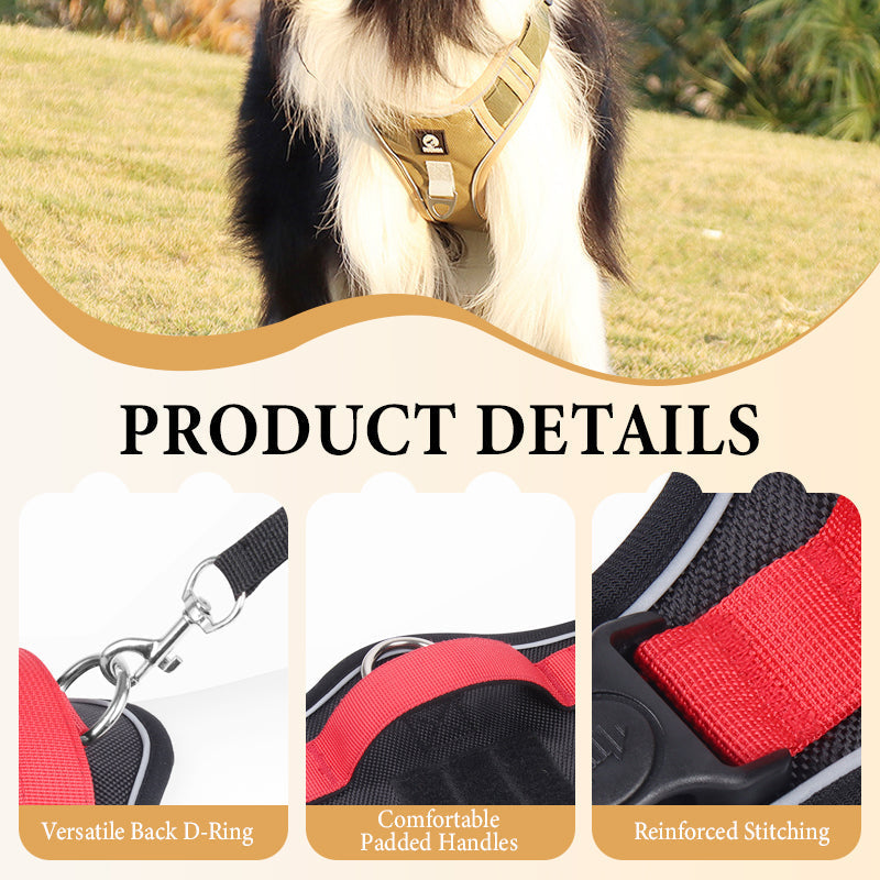 💥 LIMITIERT: -50% 🐾 Anti-Zug Hundegeschirr mit Front-D-Ring 🦮 inkl. Leine & LED-Halsband 🔥 sicher & komfortabel