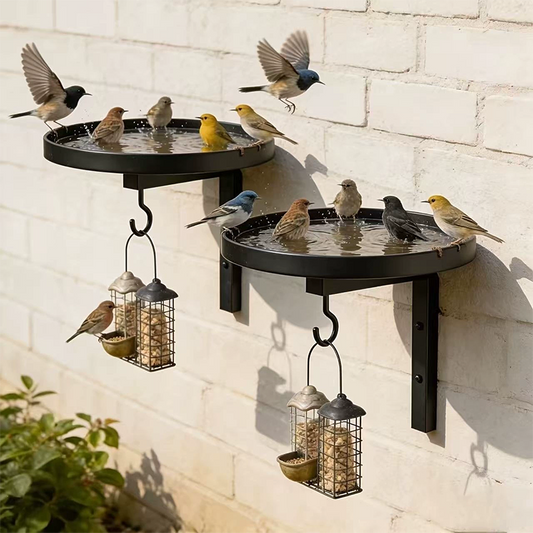 🐦💧 50% RABATT! Wandmontierte Metall-Vogeltränke – Wetterfest, leicht zu reinigen & ideal für Garten, Balkon & Terrasse 🌿