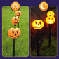 🎃🔥 50% RABATT! Halloween Solar-Kürbis Gartenstecker ✨ Wasserdicht, LED-Gartenleuchte für Rasen, Garten und Terrasse